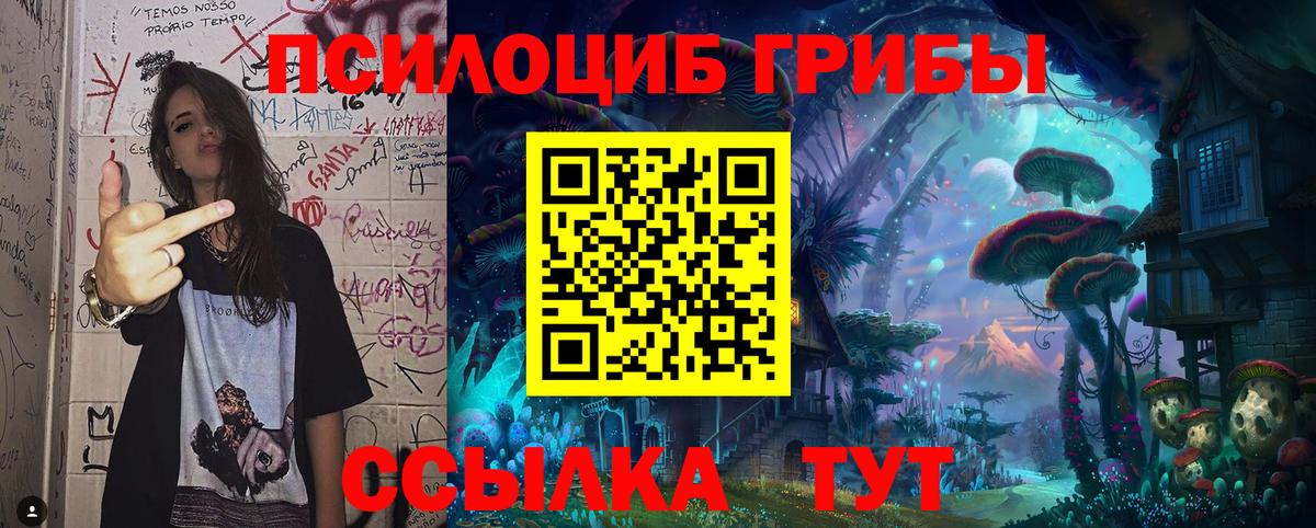 Галлюциногенные грибы ЛСД  Вход с VPN  Псилоцибиновые грибы прущие грибы  Зеленокумск 